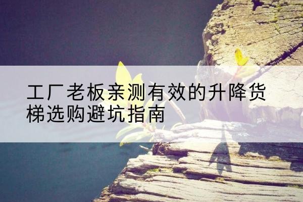 兰山升降货梯怎么选-工厂老板亲测有效的升降货梯选购避坑指南