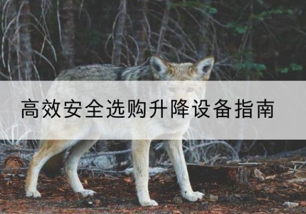 兰山升降货梯厂家推荐-*安全选购升降设备指南