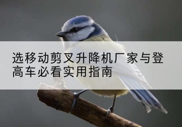 兰山电动升降机厂家-选移动剪叉升降机厂家与登高车必看实用指南