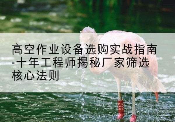 兰山剪叉式升降机厂家-高空作业设备选购实战指南-十年工程师揭秘厂家筛选核心法则