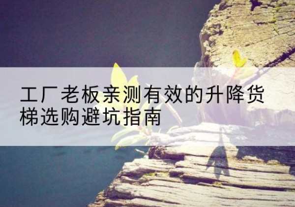 兰山升降货梯怎么选-工厂老板亲测有效的升降货梯选购避坑指南
